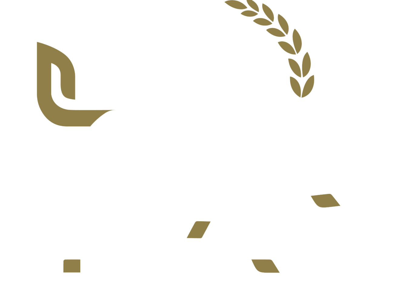 Logo Logo Dr. Matthias Pfaff