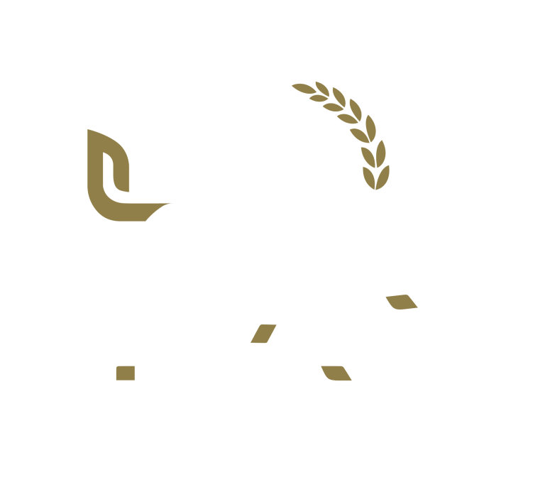 Logo Logo Dr. Matthias Pfaff